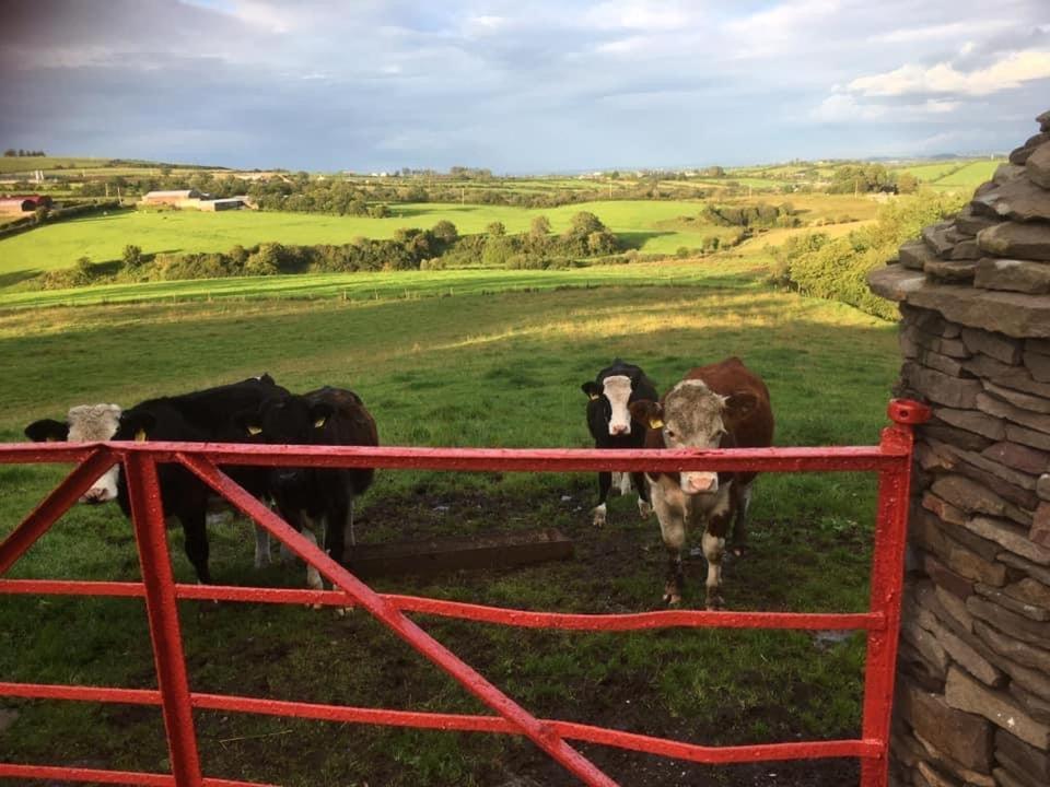 Crockgarve B And B Galbally Bagian luar foto